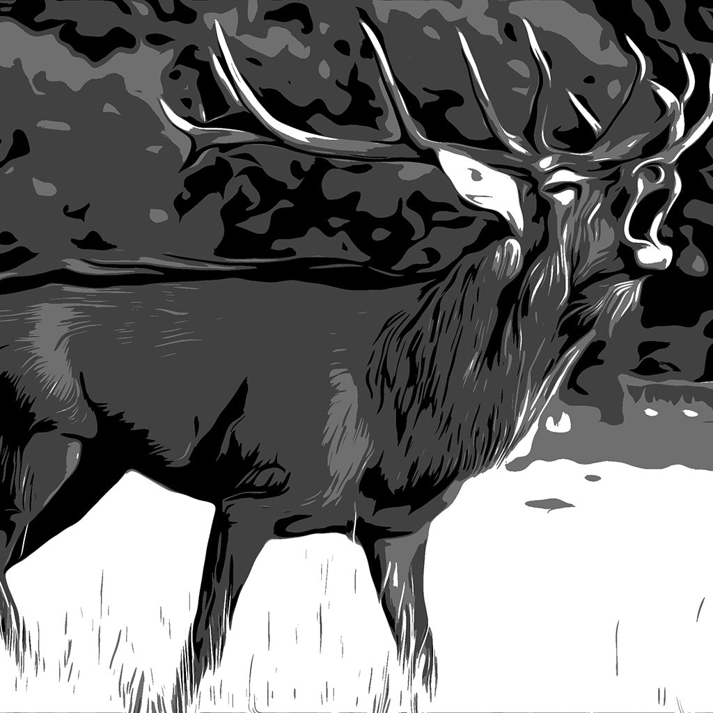 Cerf